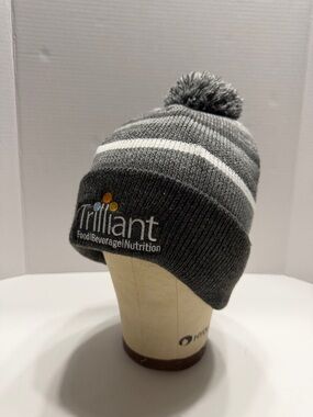 Trilliant Gray Striped Pom Knit Beanie with Logo